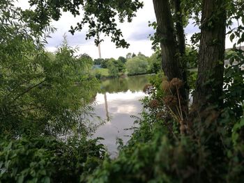 Scenic view of lake by trees against sky