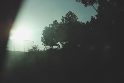 Silhouette trees against clear sky