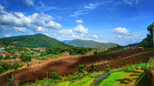 Scenic view of agricultural field against sky