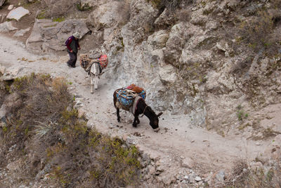 High angle view of men on cliff