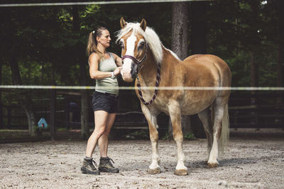 Horse standing on field