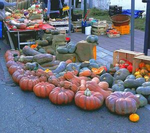 Pumpkins for sale at market