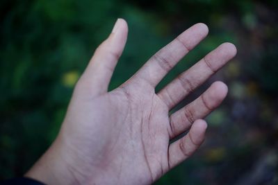 Close-up of human hand