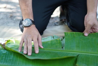 Midsection of man holding green leaves