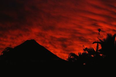 Silhouette of trees at sunset