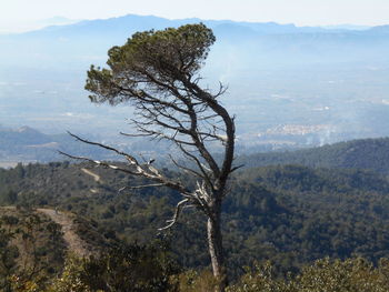 High angle view of mountain range