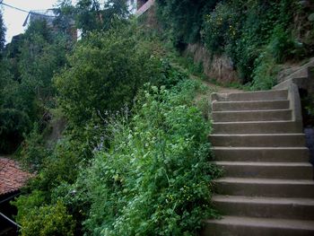 View of staircase