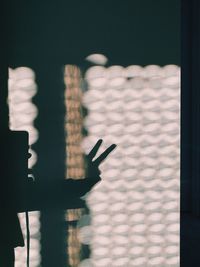 Shadow of person on wall