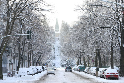 Snow covered trees in park