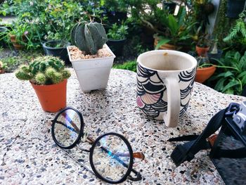 High angle view of potted plants in garden