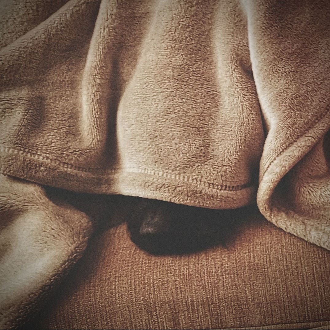 indoors, full frame, backgrounds, textile, no people, close-up, furniture, high angle view, brown, textured, pattern, still life, blanket, clothing, simplicity, crumpled, comfortable, relaxation, bed, sweater, softness, warm clothing