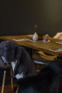 Close-up of cat on chair