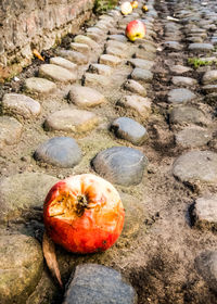 High angle view of pumpkins