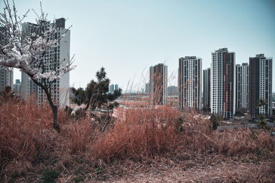Buildings in city against clear sky