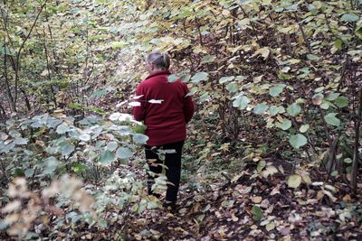 Rear view of man standing in forest