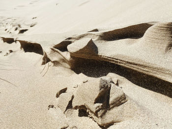 Low section of person on sand at beach