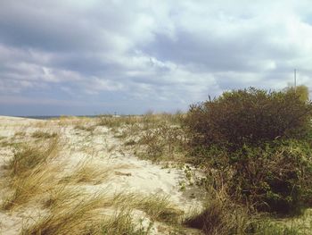 Scenic view of landscape against cloudy sky