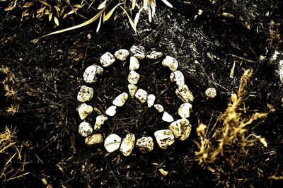 High angle view of peace symbol made from rocks on field