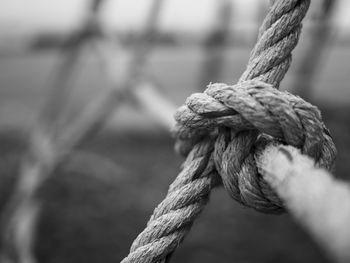 Close-up of tied up rope