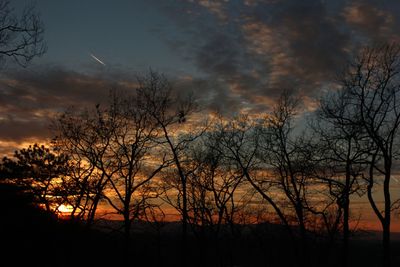 Silhouette of trees at sunset