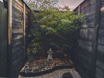 Potted plants by window in building