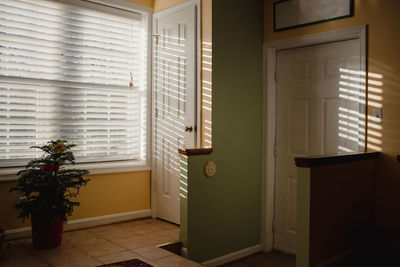 Potted plant by window at home