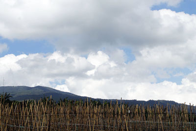 Panoramic view of landscape against sky
