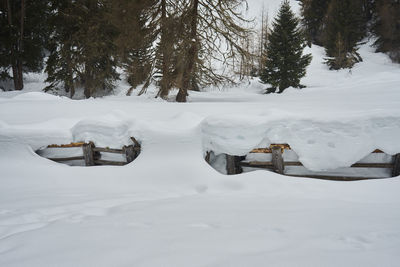 Snow covered field by trees