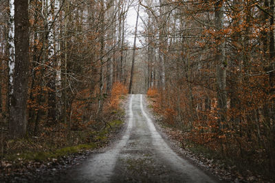 Road amidst trees in forest during autumn