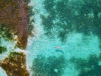 Aerial view of woman swimming in sea