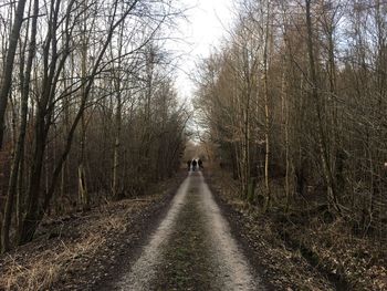 Man walking on bare trees in forest
