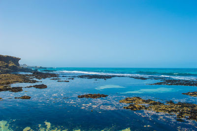 Scenic view of sea against clear blue sky