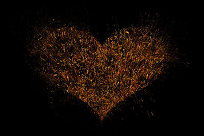 Close-up of heart shape on field against black background
