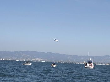 Sailboats sailing in sea against clear sky