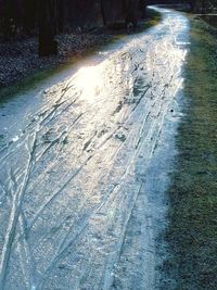 High angle view of snow on trees