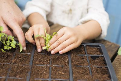 Midsection of child holding plant