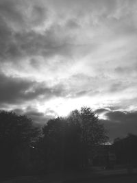 Low angle view of trees against storm clouds