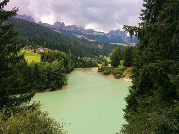 Scenic view of lake by trees against sky