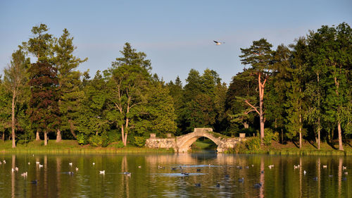 Scenic view of lake