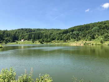 Scenic view of lake in forest against sky