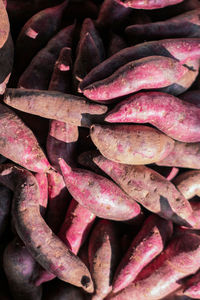 Full frame shot of purple chili peppers