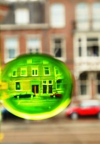 Close up of green plant