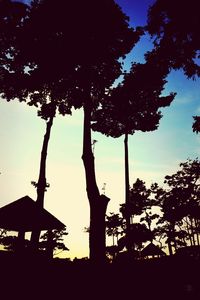 Low angle view of silhouette trees against sky