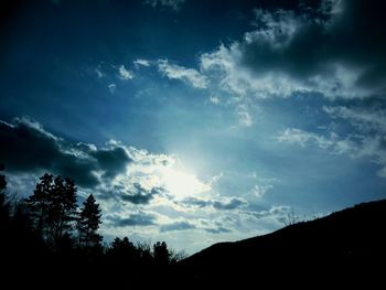 Low angle view of silhouette trees against sky