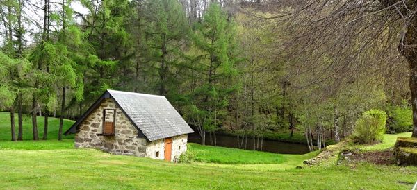 House by trees on landscape