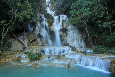 Scenic view of waterfall in forest