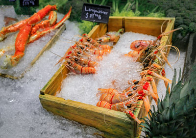 High angle view of seafood on barbecue grill