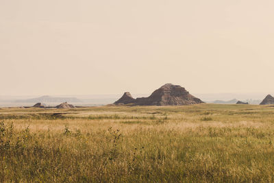 Scenic view of landscape against clear sky