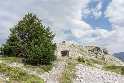 Low angle view of old ruin against sky