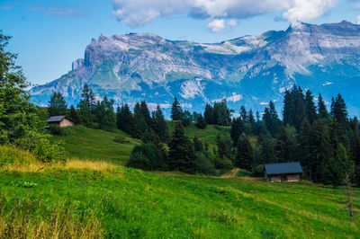 Scenic view of field and mountains against sky